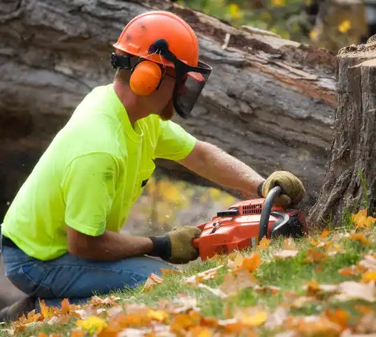 tree services Gobles